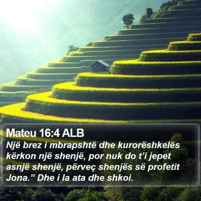Mateu 16:4 ALB Bible Verse Image