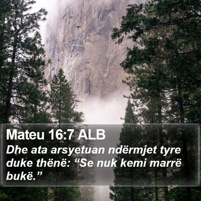 Mateu 16:7 ALB Bible Verse Image