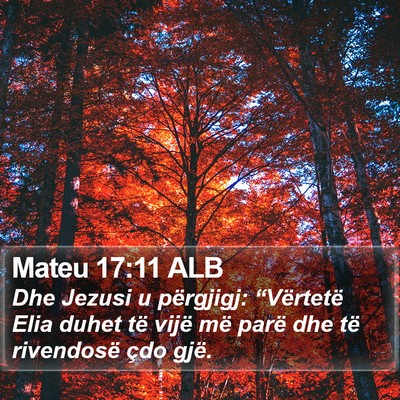 Mateu 17:11 ALB Bible Verse Image