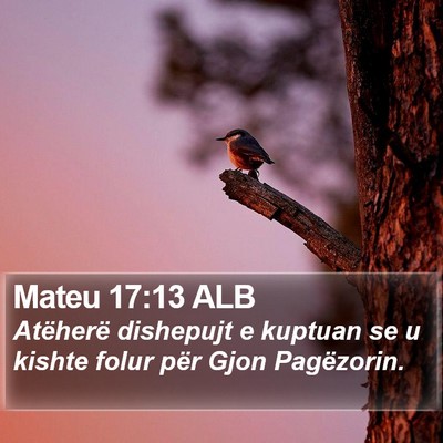 Mateu 17:13 ALB Bible Verse Image