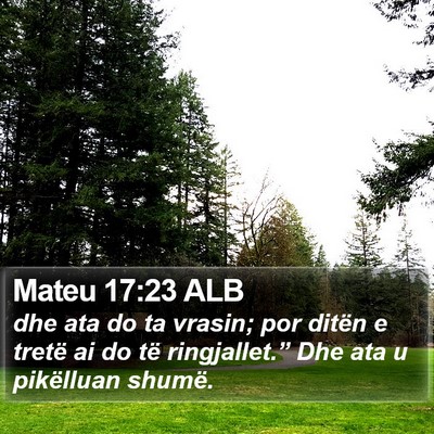 Mateu 17:23 ALB Bible Verse Image
