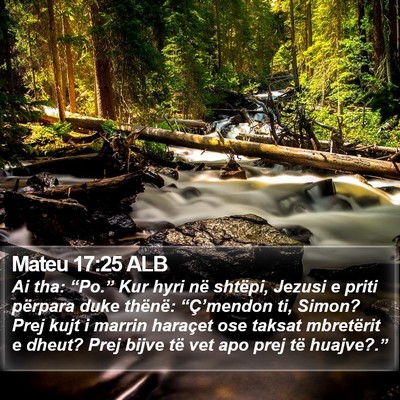 Mateu 17:25 ALB Bible Verse Image