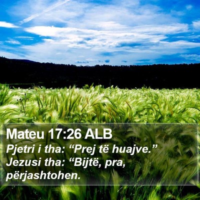 Mateu 17:26 ALB Bible Verse Image