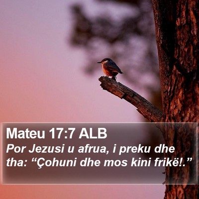 Mateu 17:7 ALB Bible Verse Image