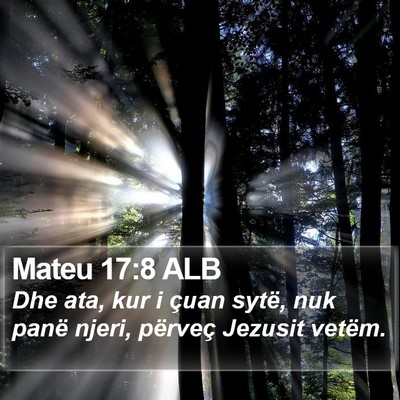 Mateu 17:8 ALB Bible Verse Image