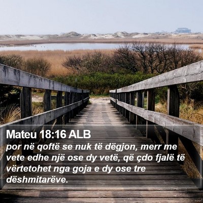 Mateu 18:16 ALB Bible Verse Image