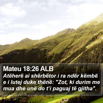 Mateu 18:26 ALB Bible Verse Image