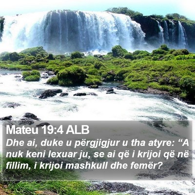 Mateu 19:4 ALB Bible Verse Image
