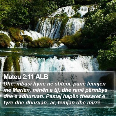 Mateu 2:11 ALB Bible Verse Image