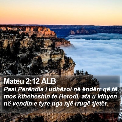 Mateu 2:12 ALB Bible Verse Image