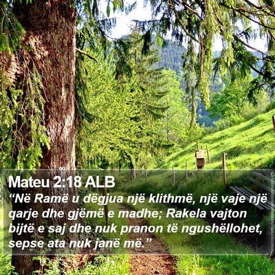 Mateu 2:18 ALB Bible Verse Image