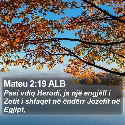 Mateu 2:19 ALB Bible Verse Image