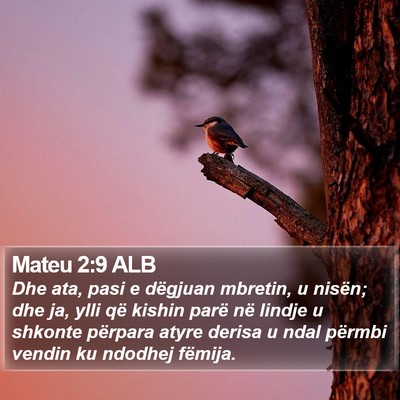 Mateu 2:9 ALB Bible Verse Image