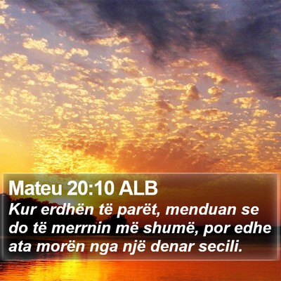 Mateu 20:10 ALB Bible Verse Image