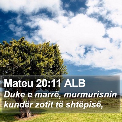 Mateu 20:11 ALB Bible Verse Image