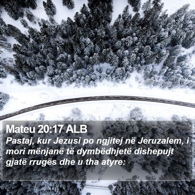 Mateu 20:17 ALB Bible Verse Image