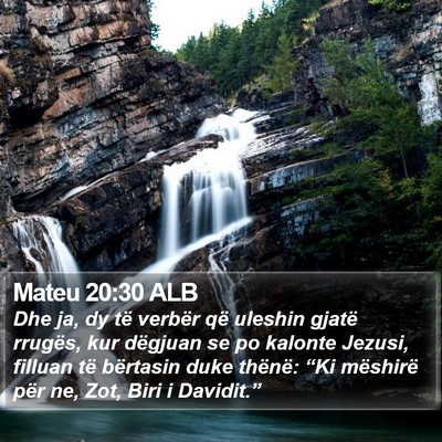 Mateu 20:30 ALB Bible Verse Image