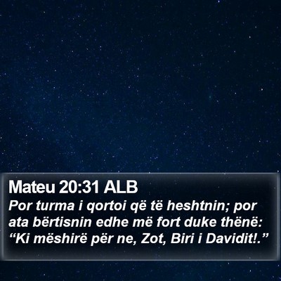 Mateu 20:31 ALB Bible Verse Image