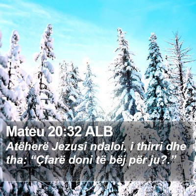 Mateu 20:32 ALB Bible Verse Image