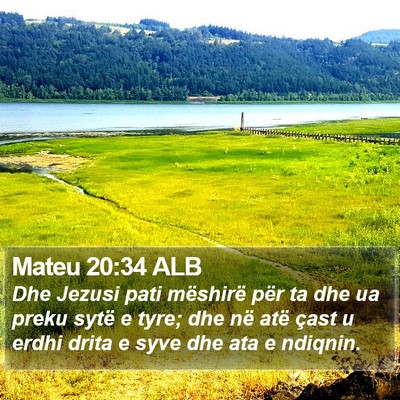 Mateu 20:34 ALB Bible Verse Image