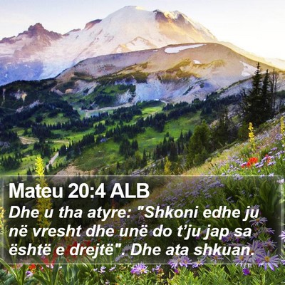 Mateu 20:4 ALB Bible Verse Image