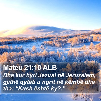 Mateu 21:10 ALB Bible Verse Image