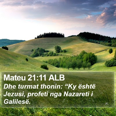 Mateu 21:11 ALB Bible Verse Image