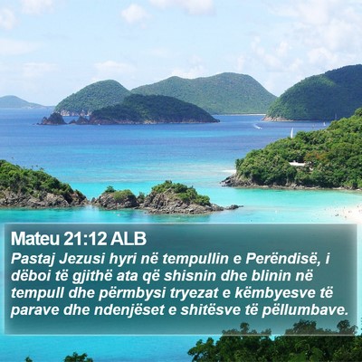 Mateu 21:12 ALB Bible Verse Image