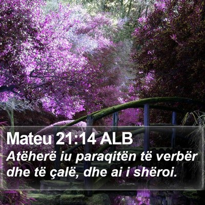Mateu 21:14 ALB Bible Verse Image