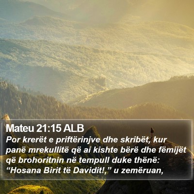 Mateu 21:15 ALB Bible Verse Image