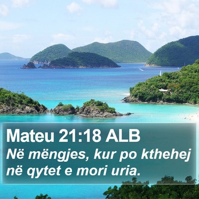 Mateu 21:18 ALB Bible Verse Image