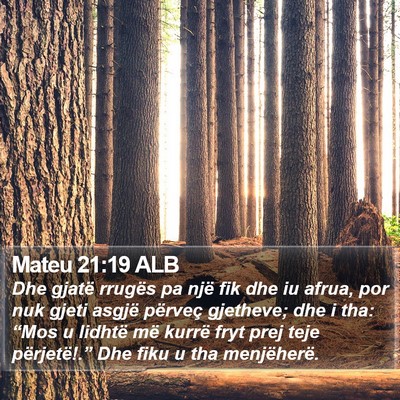 Mateu 21:19 ALB Bible Verse Image