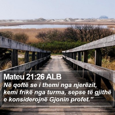 Mateu 21:26 ALB Bible Verse Image