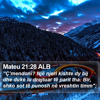 Mateu 21:28 ALB Bible Verse Image