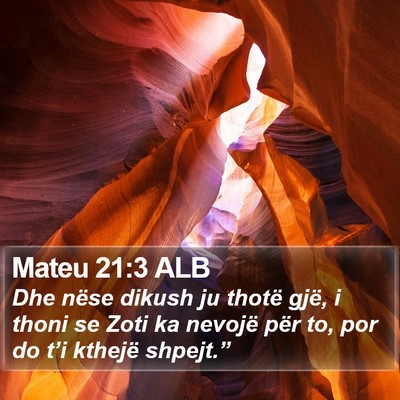 Mateu 21:3 ALB Bible Verse Image