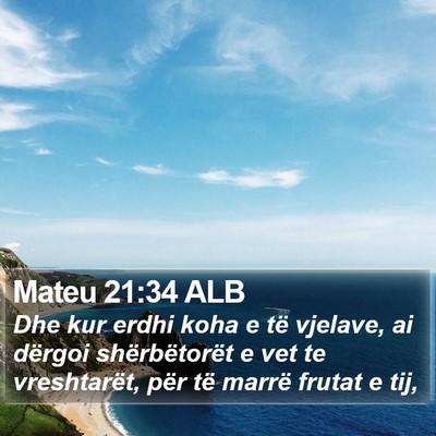 Mateu 21:34 ALB Bible Verse Image