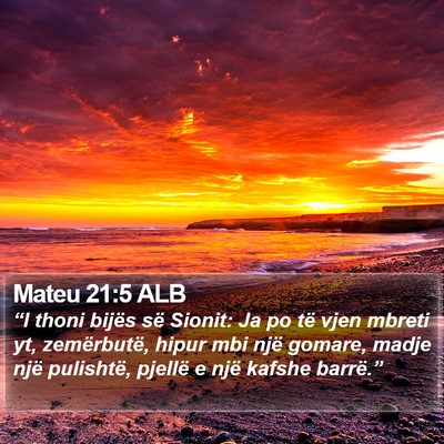 Mateu 21:5 ALB Bible Verse Image