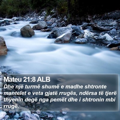 Mateu 21:8 ALB Bible Verse Image
