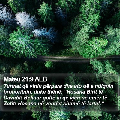 Mateu 21:9 ALB Bible Verse Image