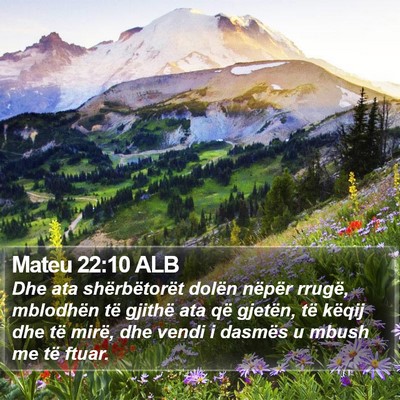 Mateu 22:10 ALB Bible Verse Image