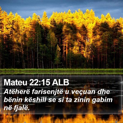 Mateu 22:15 ALB Bible Verse Image