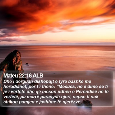 Mateu 22:16 ALB Bible Verse Image
