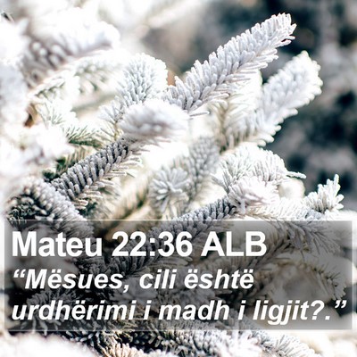 Mateu 22:36 ALB Bible Verse Image