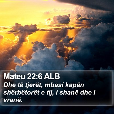 Mateu 22:6 ALB Bible Verse Image