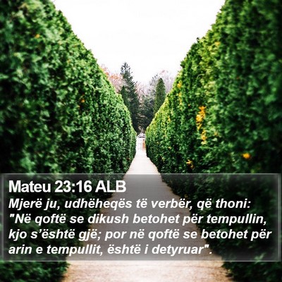 Mateu 23:16 ALB Bible Verse Image