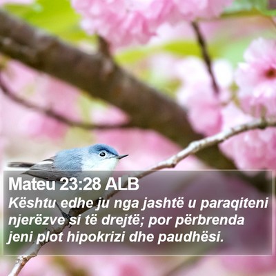 Mateu 23:28 ALB Bible Verse Image