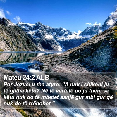 Mateu 24:2 ALB Bible Verse Image
