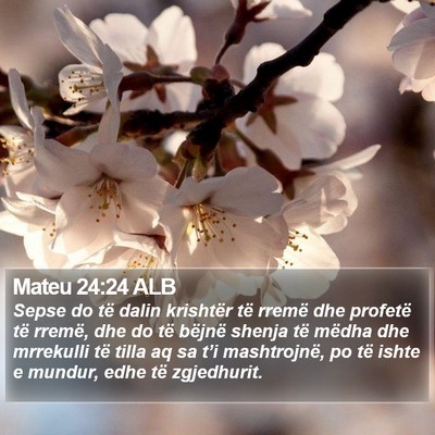 Mateu 24:24 ALB Bible Verse Image