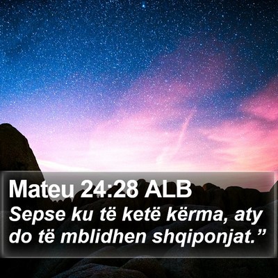 Mateu 24:28 ALB Bible Verse Image