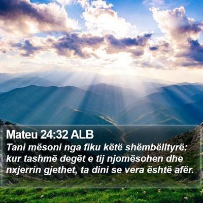 Mateu 24:32 ALB Bible Verse Image